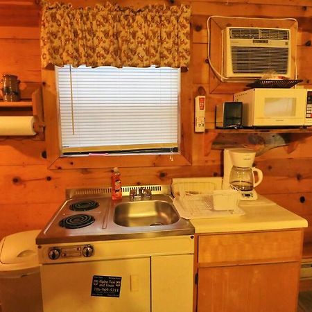 Alpine Mountain Sweetheart Cabin Jacuzzi #8 هيلين المظهر الخارجي الصورة