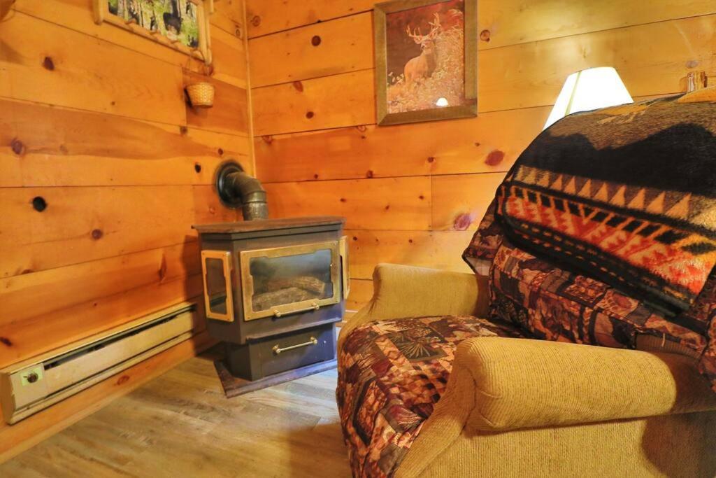 Alpine Mountain Sweetheart Cabin Jacuzzi #8 هيلين المظهر الخارجي الصورة
